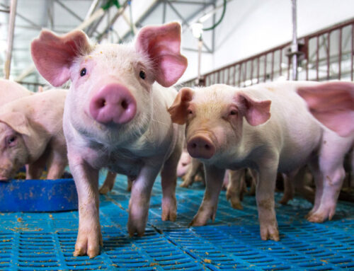 From Space to the Farm: Pancopia’s Water Recycling Breakthroughs Get Published